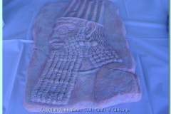 DSC05638