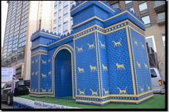 DSC_6681